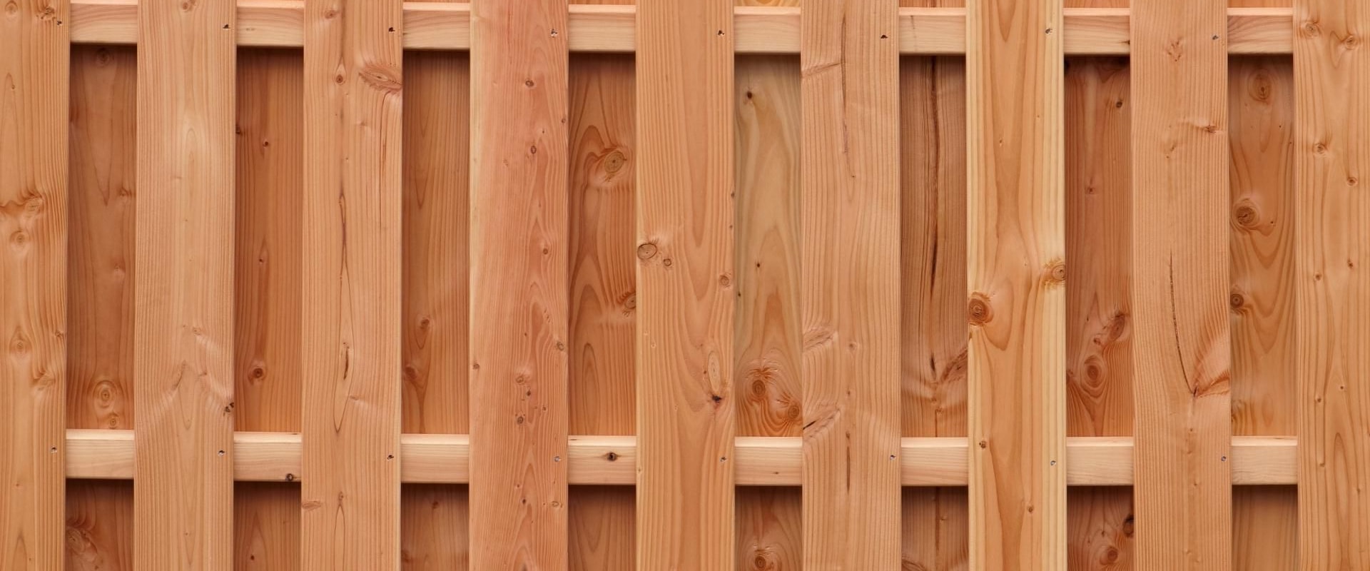 Fencing Maintenance: Everything You Need to Know